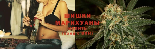 apvp Аркадак