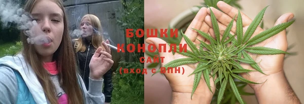 амф Арсеньев