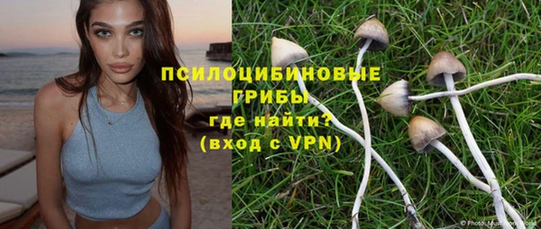 прущие грибы Армянск