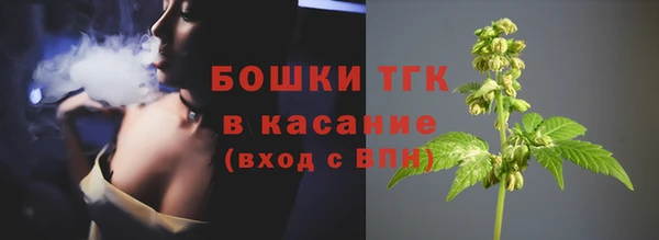 apvp Аркадак