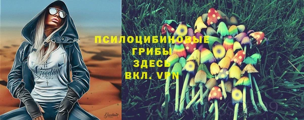 apvp Аркадак