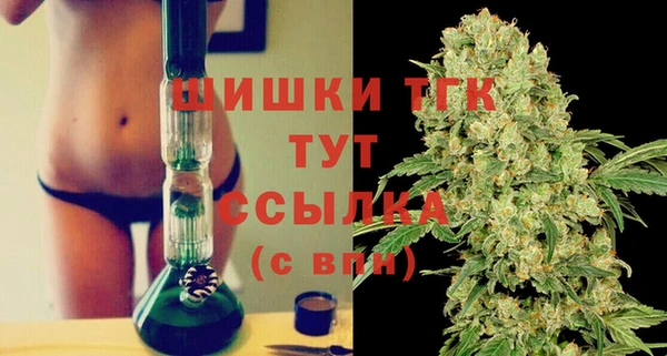 амф Арсеньев