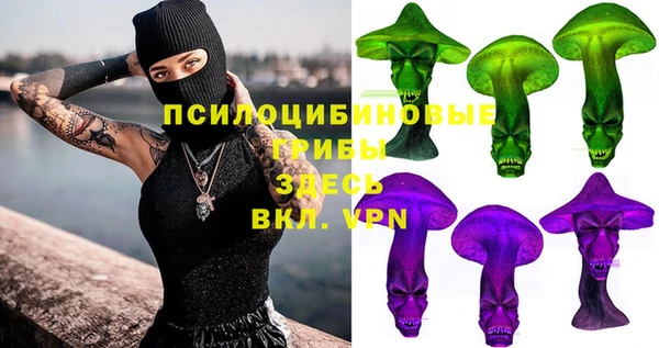 амф Арсеньев