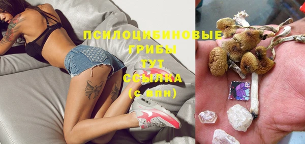 apvp Аркадак