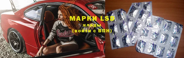apvp Аркадак