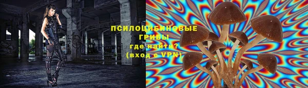 амф Арсеньев