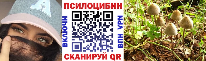 Галлюциногенные грибы MAGIC MUSHROOMS  блэк спрут маркетплейс  Среднеуральск 